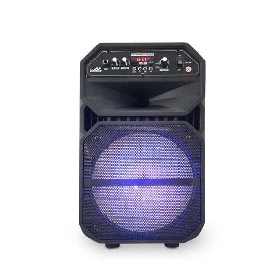 BigSound akkumulátoros karaoke hangfal ajándék vezetékes mikrofonnal -W6009