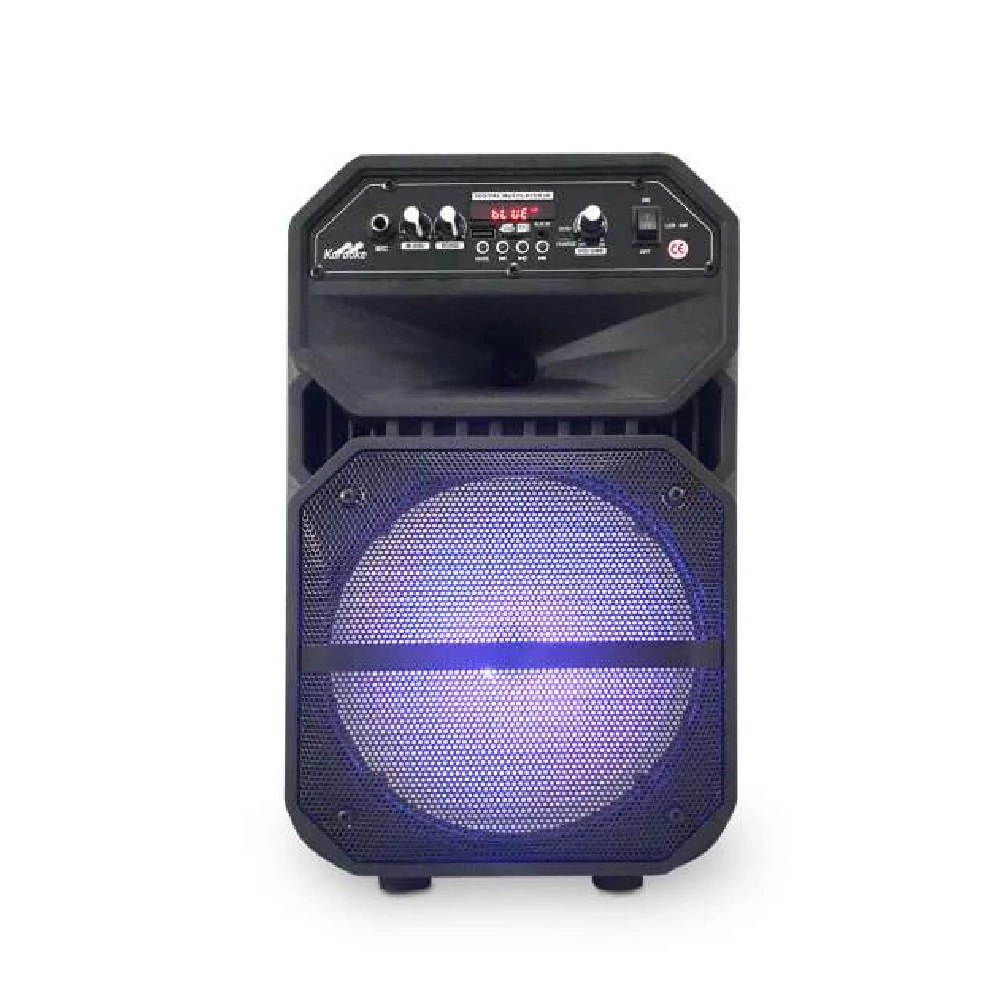 BigSound akkumulátoros karaoke hangfal ajándék vezetékes mikrofonnal -W6009